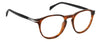 David Beckham DB1126 Brown Horn #colour_brown-horn