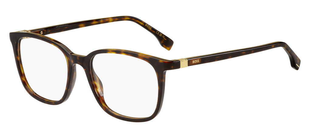 Boss 1494 Havana #colour_havana