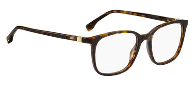 Boss 1494 Havana #colour_havana