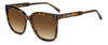 #colour_havana-brown-brown-gradient