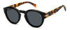David Beckham DB7110/S Black Havana/Grey #colour_black-havana-grey