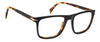 David Beckham DB7115 Black Havana #colour_black-havana