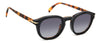 David Beckham DB1080/CS Black Havana #colour_black-havana