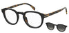 David Beckham DB1080/CS Black Havana #colour_black-havana