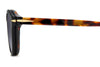 David Beckham DB1080/CS Black Havana #colour_black-havana