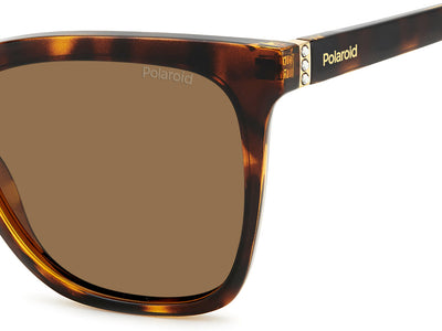 Polaroid PLD4155/S/X Havana/Bronze #colour_havana-bronze