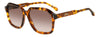 Isabel Marant IM 0153/G/S Brown Havana/Brown Gradient #colour_brown-havana-brown-gradient