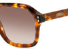 Isabel Marant IM 0153/G/S Brown Havana/Brown Gradient #colour_brown-havana-brown-gradient