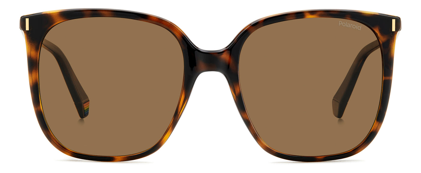 Polaroid PLD 6218/S Havana/Brown Polarised #colour_havana-brown-polarised