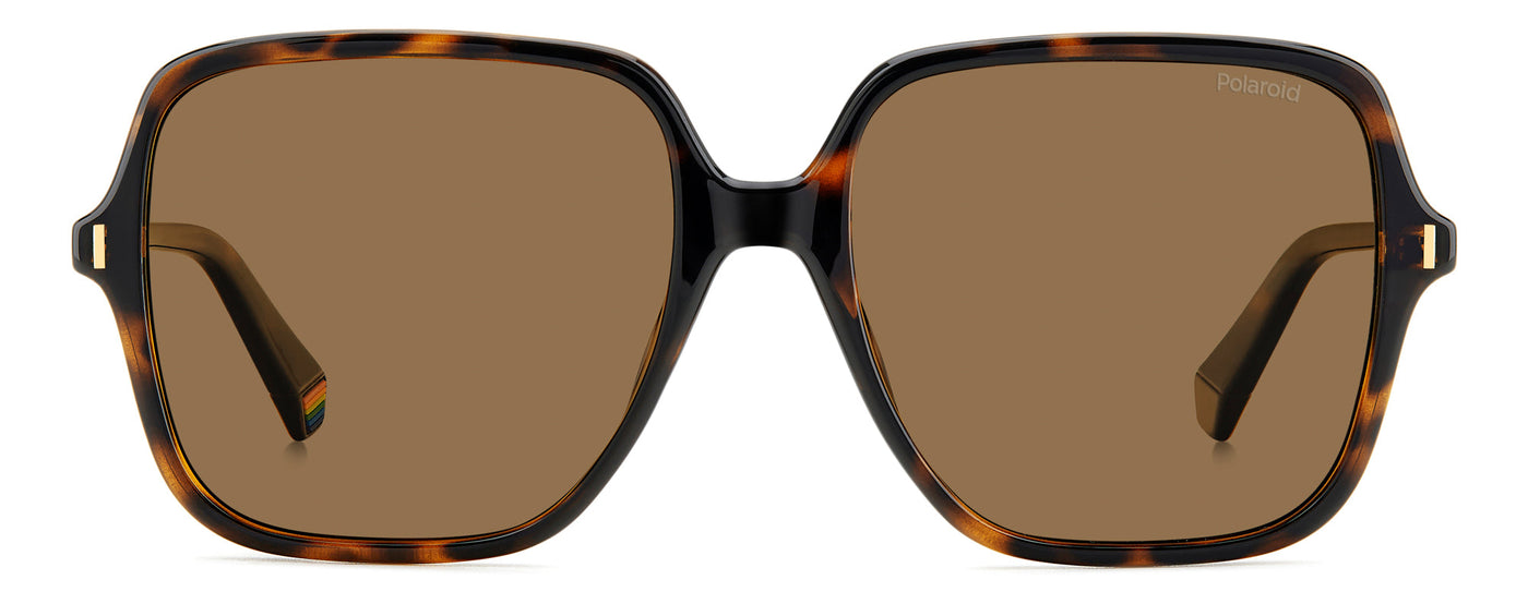 Polaroid PLD 6219/S Havana/Brown Polarised #colour_havana-brown-polarised