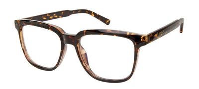 Prive Revaux Nomad/BB Tortoise #colour_tortoise