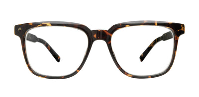 Prive Revaux Nomad/BB Tortoise #colour_tortoise