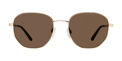 Prive Revaux Nite Bird/S Gold Brown/Bronze Polarised #colour_gold-brown-bronze-polarised