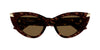 #colour_havana-brown