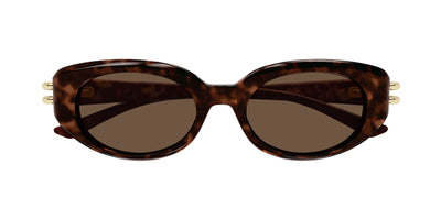 #colour_havana-brown