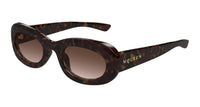 #colour_havana-brown-gradient