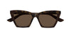 #colour_havana-brown