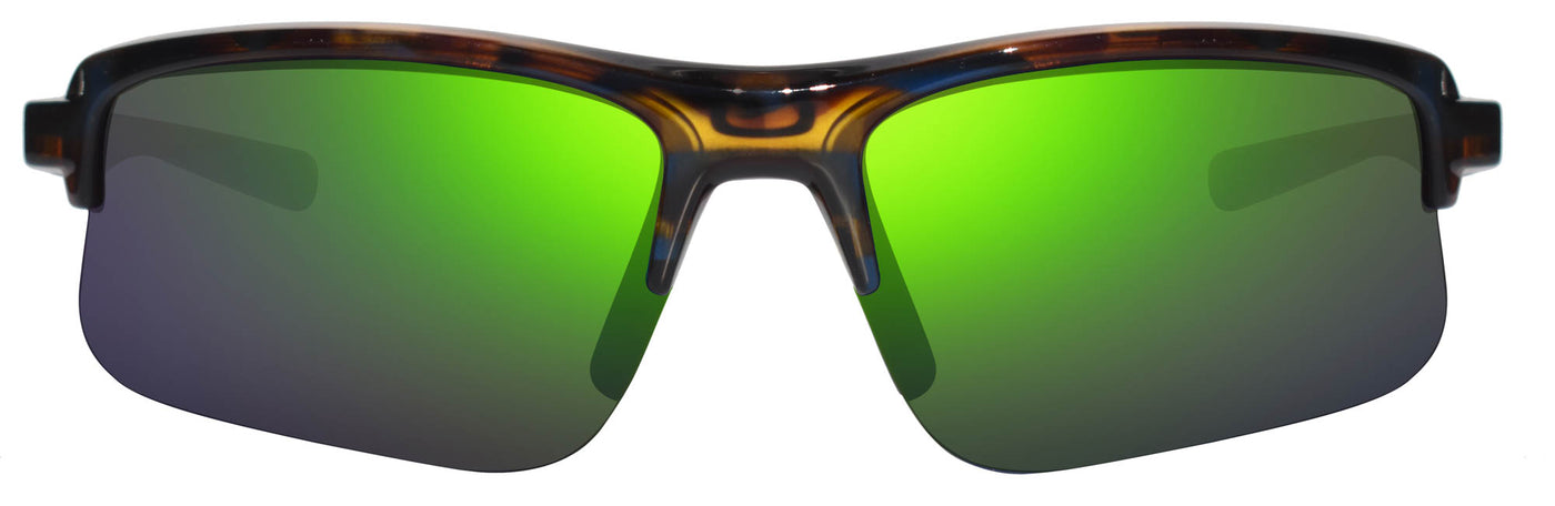 #colour_blue-tortoise-evergreen-photo-polarised