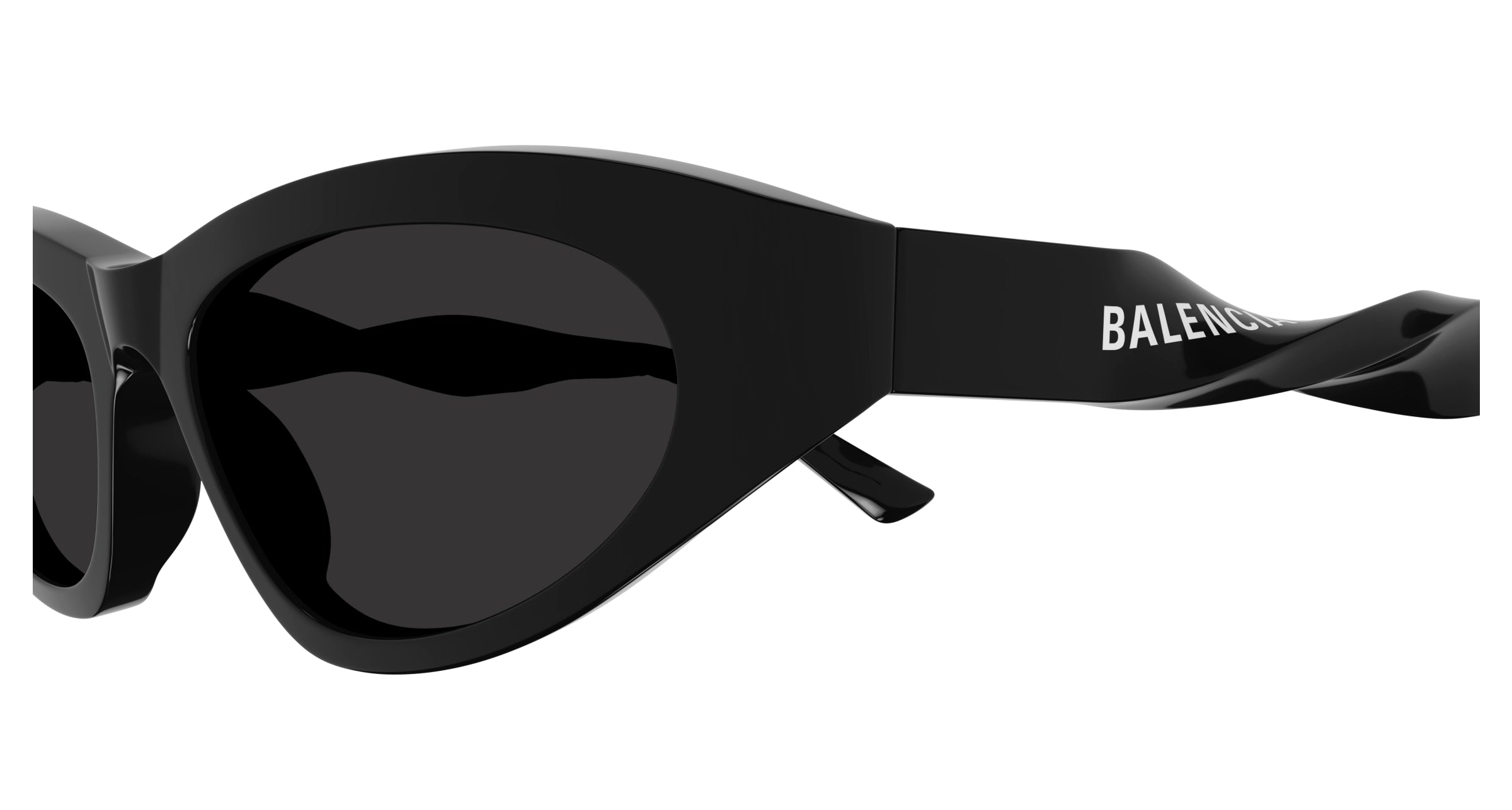 Balenciaga BB0207S Cat Eye Sunglasses | Fashion Eyewear US