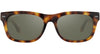 #colour_classic-tortoise-mineral-silver-polarised