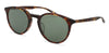 Barton Perreira Princeton BP40001I#colour_shiny-red-havana-green