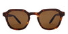 #colour_shiny-red-havana-brown
