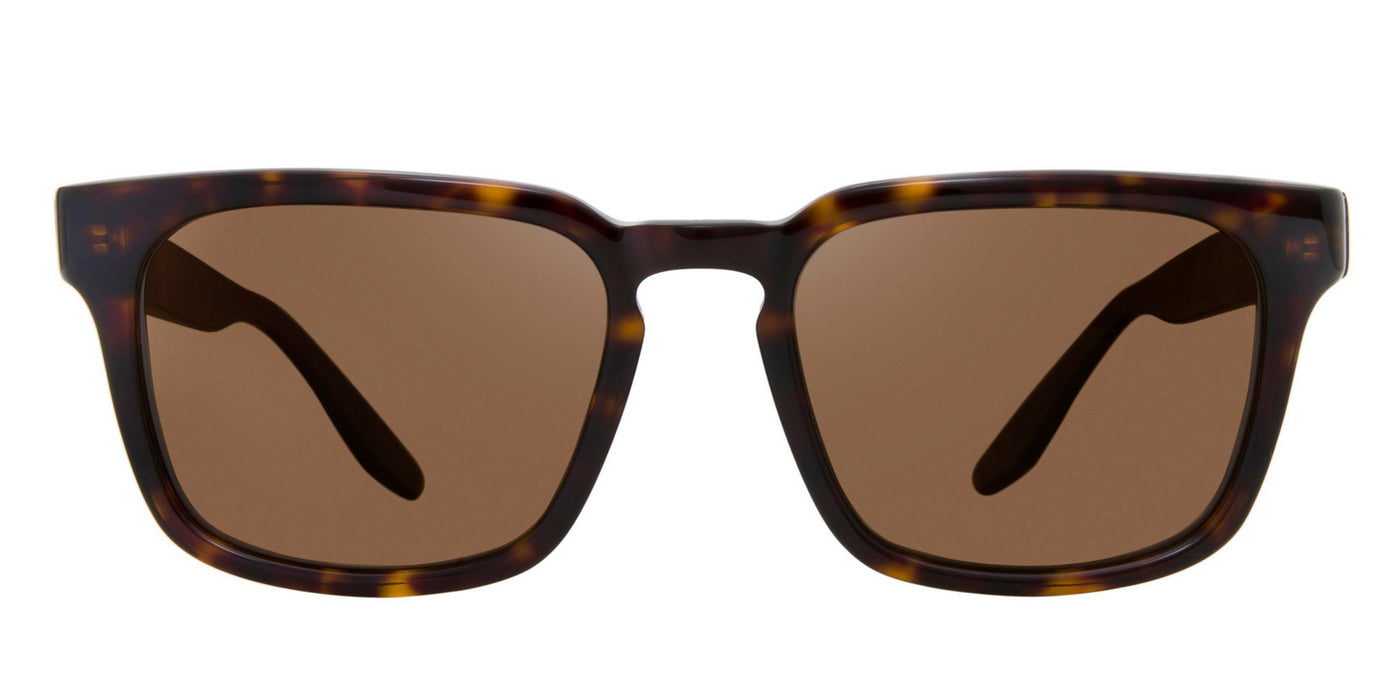 #colour_shiny-dark-havana-brown