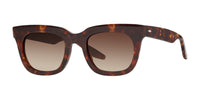 #colour_shiny-red-havana-brown-gradient