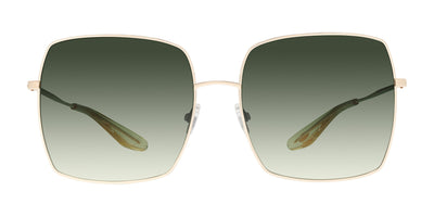 #colour_shiny-endura-gold-green-gradient
