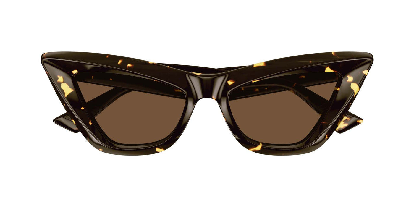 #colour_dark-tortoise-brown