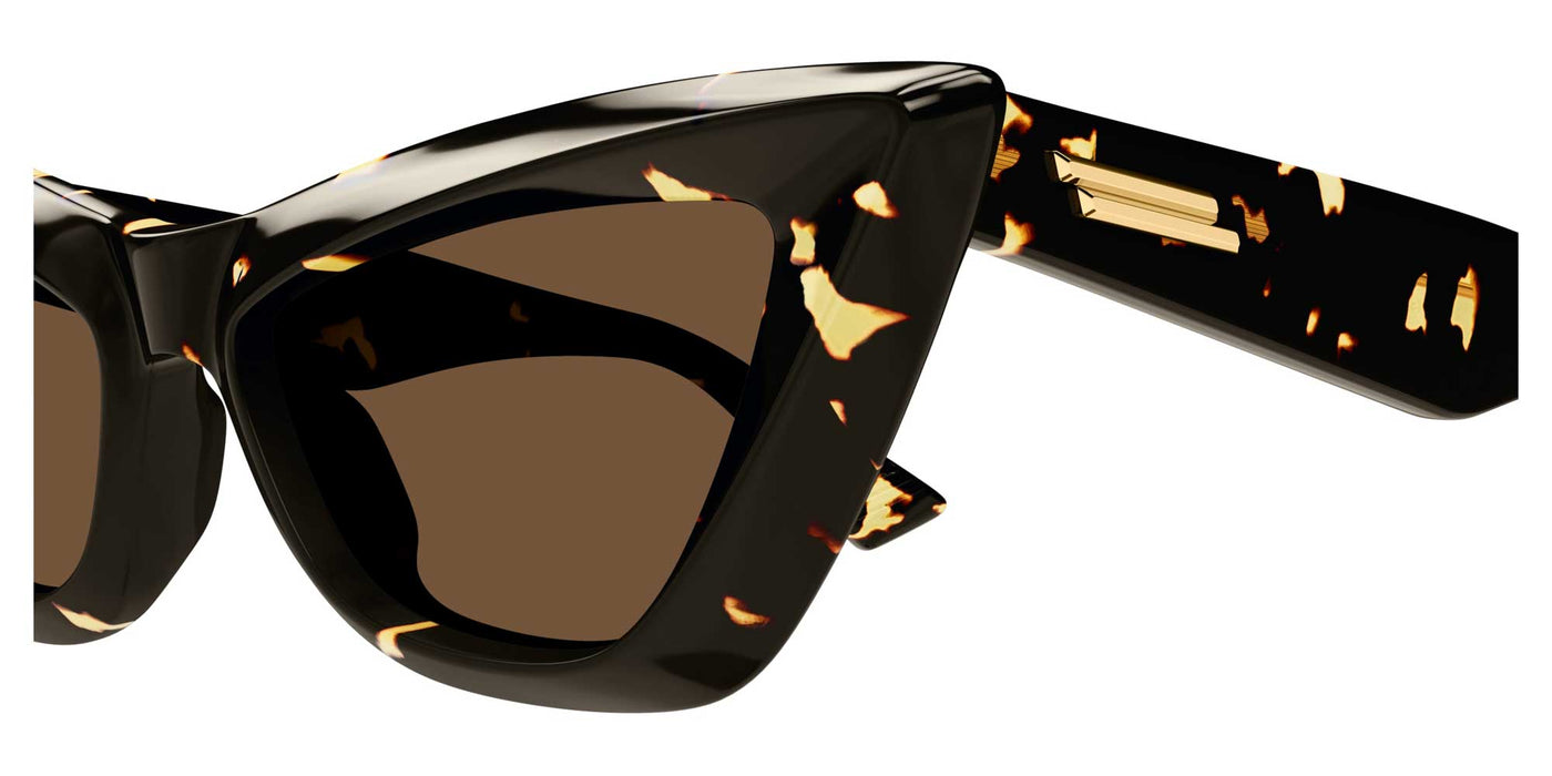 #colour_dark-tortoise-brown