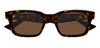 #colour_tortoise-brown