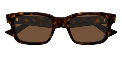 #colour_tortoise-brown