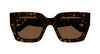 #colour_havana-brown