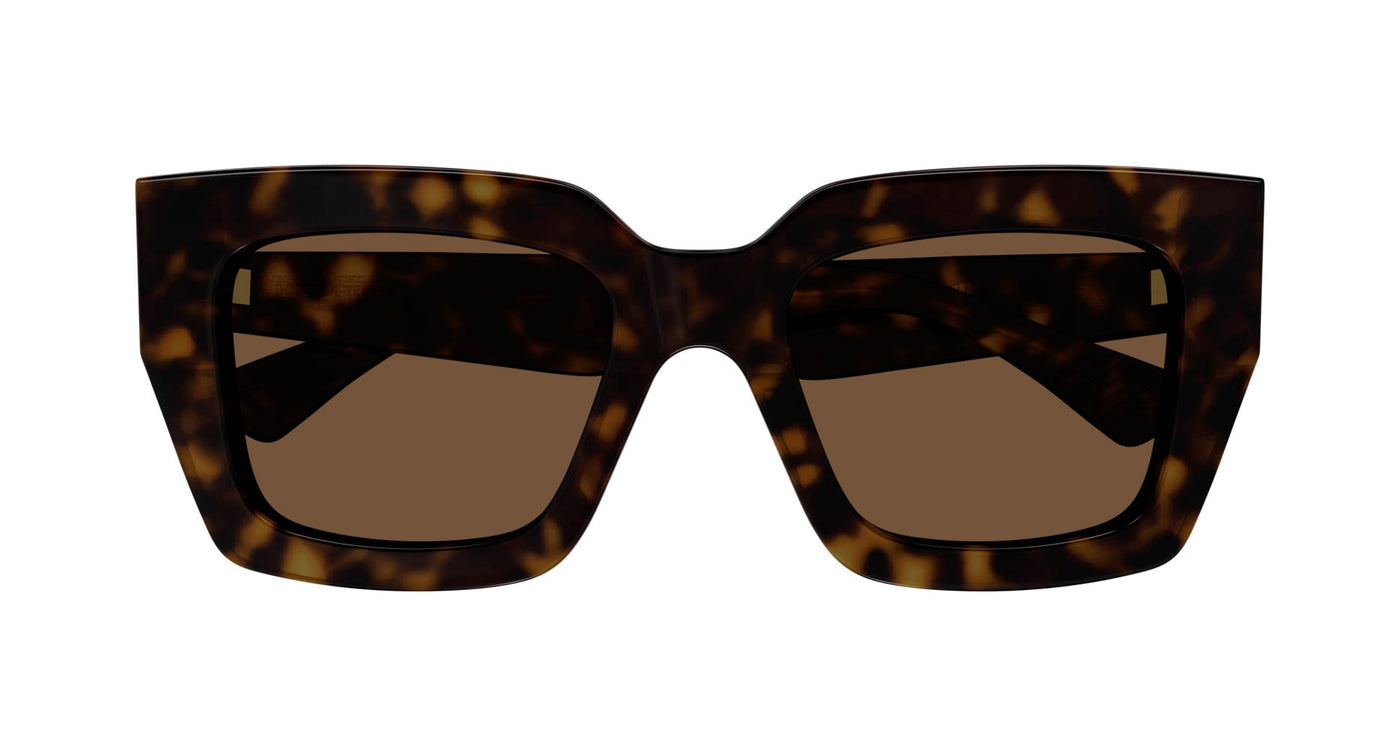 #colour_havana-brown