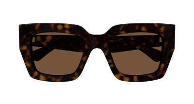 #colour_havana-brown