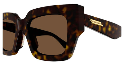#colour_havana-brown