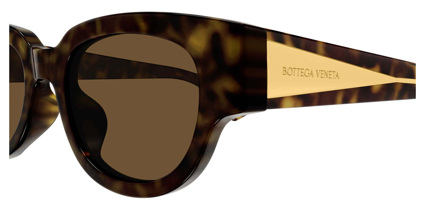 #colour_havana-brown
