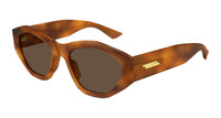 #colour_havana-brown