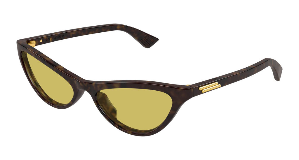 #colour_havana-brown