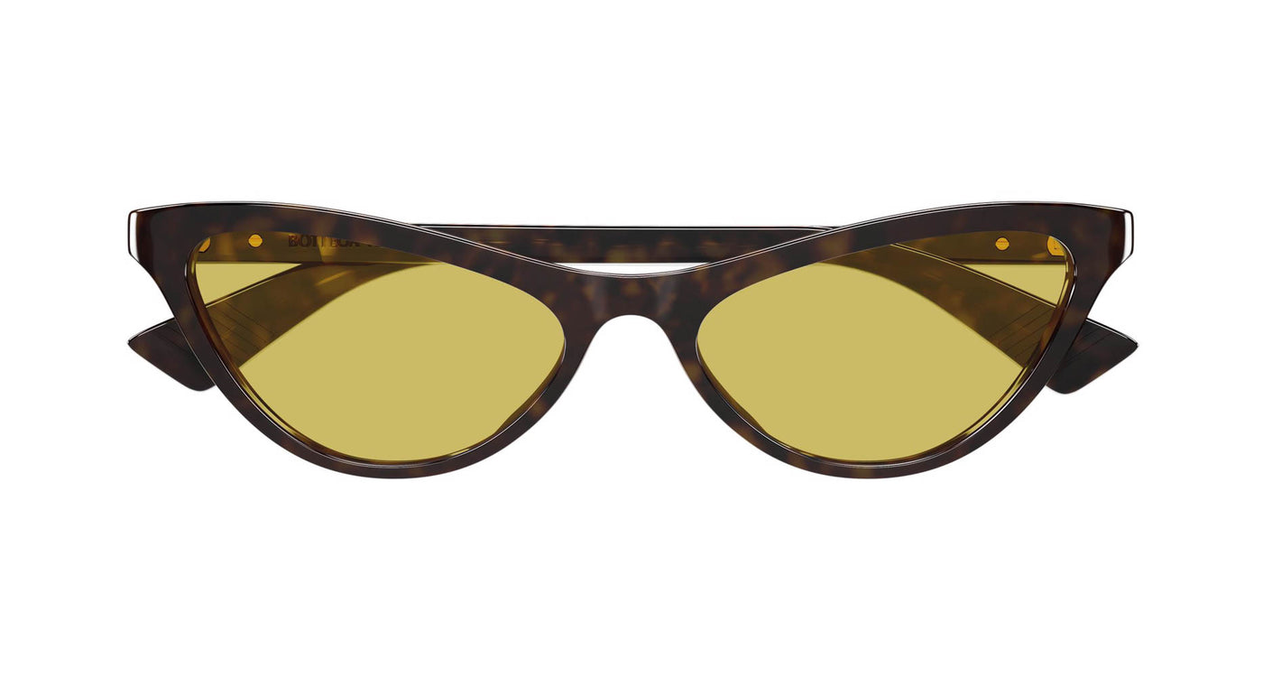 #colour_havana-brown