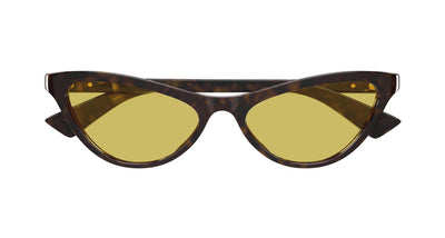 #colour_havana-brown