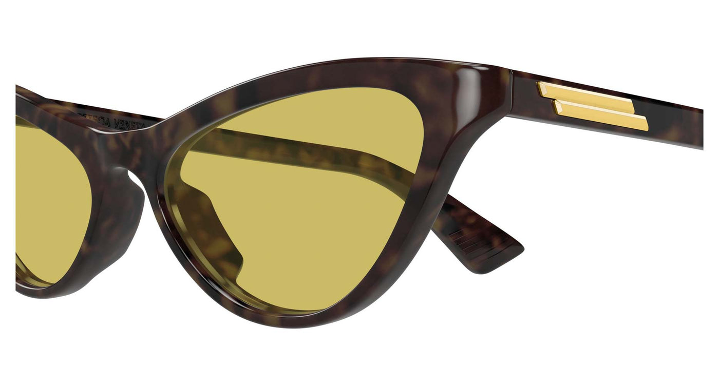 #colour_havana-brown