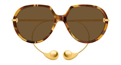 #colour_havana-brown