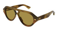 Bottega Veneta BV1485S#colour_brown/brown