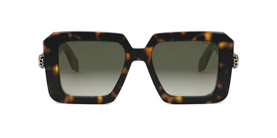 #colour_shiny-dark-havana-brown-gradient