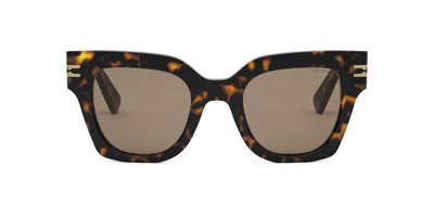 #colour_shiny-dark-havana-brown