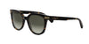 #colour_shiny-dark-havana-brown-gradient