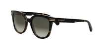 #colour_shiny-dark-havana-brown-gradient