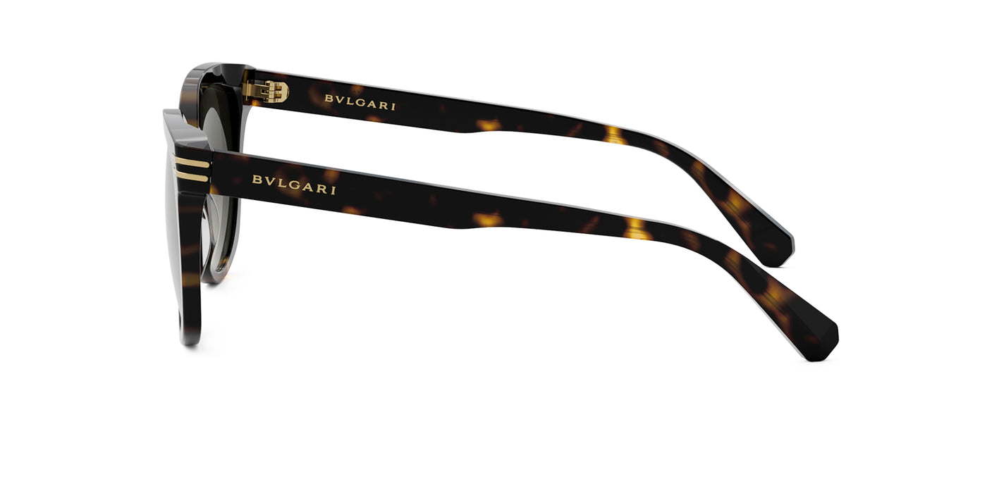 #colour_shiny-dark-havana-brown-gradient
